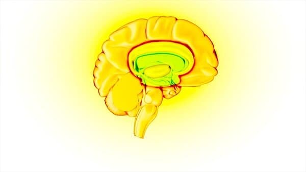 Introduction to mental health